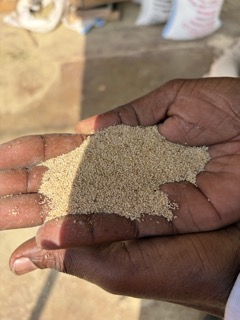 Teff in Ethiopia